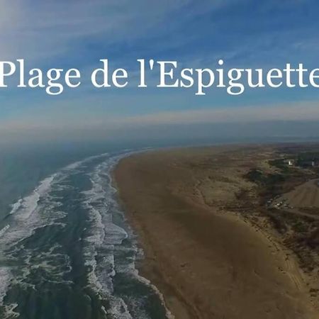 Grand Studio Au Grau-Du-Roi Proche Seaquarium Et Plage Le Grau-du-Roi Exteriör bild